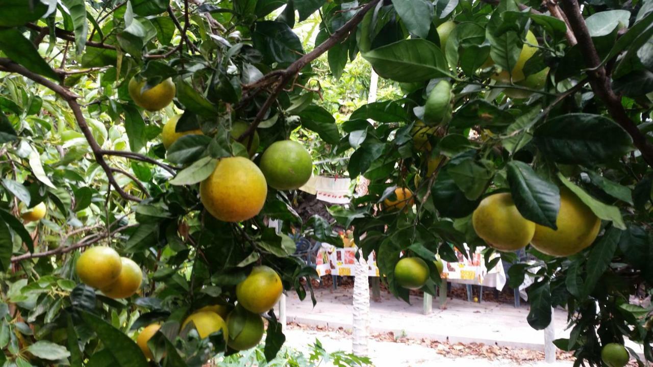 Vv - Casa Clary -Finca Medina Alojera Eksteriør bilde